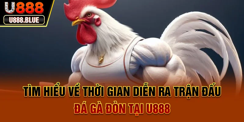 Đá gà đòn tại U888 - Trải nghiệm đặt cược vào các chiến kê dũng mãnh Đá gà đòn tại U888 - Trải nghiệm đặt cược vào các chiến kê dũng mãnh